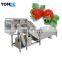 Industrial Fruit Vegetable Washing Machine With Air Bubble