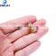 Bike Convert Presta to Schrader Adaptor Brass Presta Valve Adapter