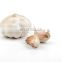 new crop Chinese fresh frozen garlic with reliable price