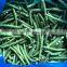 BRC A Approved New Crop 6-12cm Whole Top Green Pearl IQF Frozen Green Bean from Sinocharm