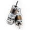 PG22-370 12V 24V Φ 22mm diameter mini planetary geared 370 motor
