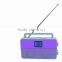 2015 New Exclusive Shining Purple PLL Portable Radio