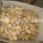 2016 Chinese fresh ginger wet dry half dry skin super quality
