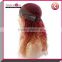 Fashion Sexy Ombre Brazilian 3 Tone Color lace frony wigs Full Lace Wigs kinky curly wig