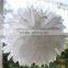 Chinese Handmade Cheap Tissue Hanging Paper Pom Poms