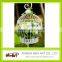 decorative bird cages wholesale