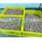 automatic sausage casing remove machine/sausage peeler/sausage peeling machine