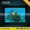 light photo frame , plastic frame led illuminated light panel , cheap popular fashion design standard A4 size LED frame