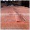 bintangor face veneer 0.3mm Veneer factory direct sale
