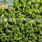 Synthetic Mesh Grass SS-044003-ZW