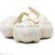 2015 new crop of natural garlic price for sale garlic distributer