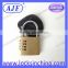 Brazil Market-AJF High Quality Resettable metal brass fitness club gym lock