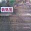 Manufacture laying cage for quail made in china