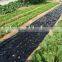 PE Agricultural mulch film with micros holes