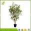 customized low price enviroment friendly bamboo bonsai tree