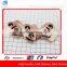 CD1458 Hot Sale Fashion Metal Small Rose Gold Cord Stopper