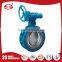 Flange type eccentric butterfly valve with RPTFE seat with pneumatic actuator