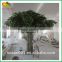Superior quality artificial banyan tree fiberglass artificial banyan tree