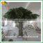 Superior Quality Artificial Banyan Tree Fiberglass Artificial Banyan Tree