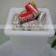 Customize Plastic Rotomolding Ice bucket mold/mould