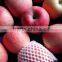 Pome Fruit Product Fresh Apple Type Fuji Apple sale by bulk