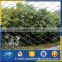 ss artificial green wall climb/ plant climbing netting