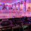 Guangzhou factory price led light source 5 x 12W colored changing christmas decorative lights