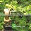 Brass Pipe Spray Nozzle for Fountain