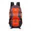 Best Sale Tear Resistance Brand Backpack Bag