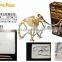 Educational toy Mammoth skeleton educational toy animal excavation diy kit