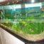 Acrylic Aquarium with Double Arc Shape