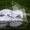 acrylic clear hard plastic shoe box wholesale