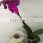 High quality cheap price paper/vinyl drink stickers printed self-adhesive labels