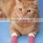 Wholesale Promotion Vet Flex Banndage Wrap 2"