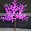 High quality of Light up Bauhinia cherry trees