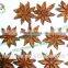 Guangxi China Raw Dried Star Aniseeds