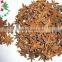 China Natural Aniseeds