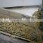 Rice bran oil production line