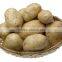 Fresh Potato Manufacture