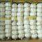 Supply China Garlic pack in 500g/sack,10kg /mesh bag of Fiji Market