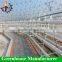 Desert and semi-arid greenhouse for tomato lettuce strawberry