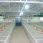 Automatic Broiler Pan Feeding System For Chicken House/poultry feed production line