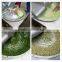 Top design vegetable grinding machine/ vegetable grinder/broken dish equipment