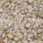 High quality garlic separating/garlic breaking machine