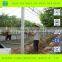 Multi-Span Commercial Polycarbonate Greenhouse for Sale