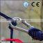 Hot sale ce 6*60 polished forged Stainless Steel 316 Snap Hook