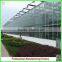 Best Selling High Quality SQ-9.6 Glass Greenhouses With Stable Structure