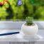 Glazed White Small Round Modern Ceramic Succulent Planter Pot