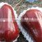 Fresh Apple Plastic Biodegradable Foam Net for Apple