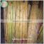 Natural yellow raw bamboo pole 20/25mm
